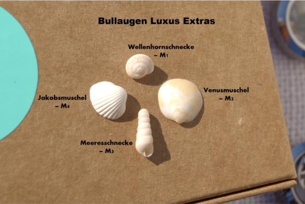 Bullaugen-Kette – Bild 6